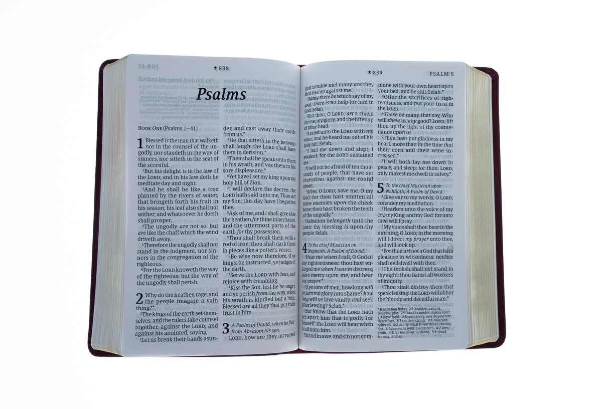 Tyndale House Publishing KJV Personal Size Giant Print Bible, Filament Enabled Edition 6 Tyndale House Publishing KJV Personal Size Giant Print Bible, Filament Enabled Edition - Image 4