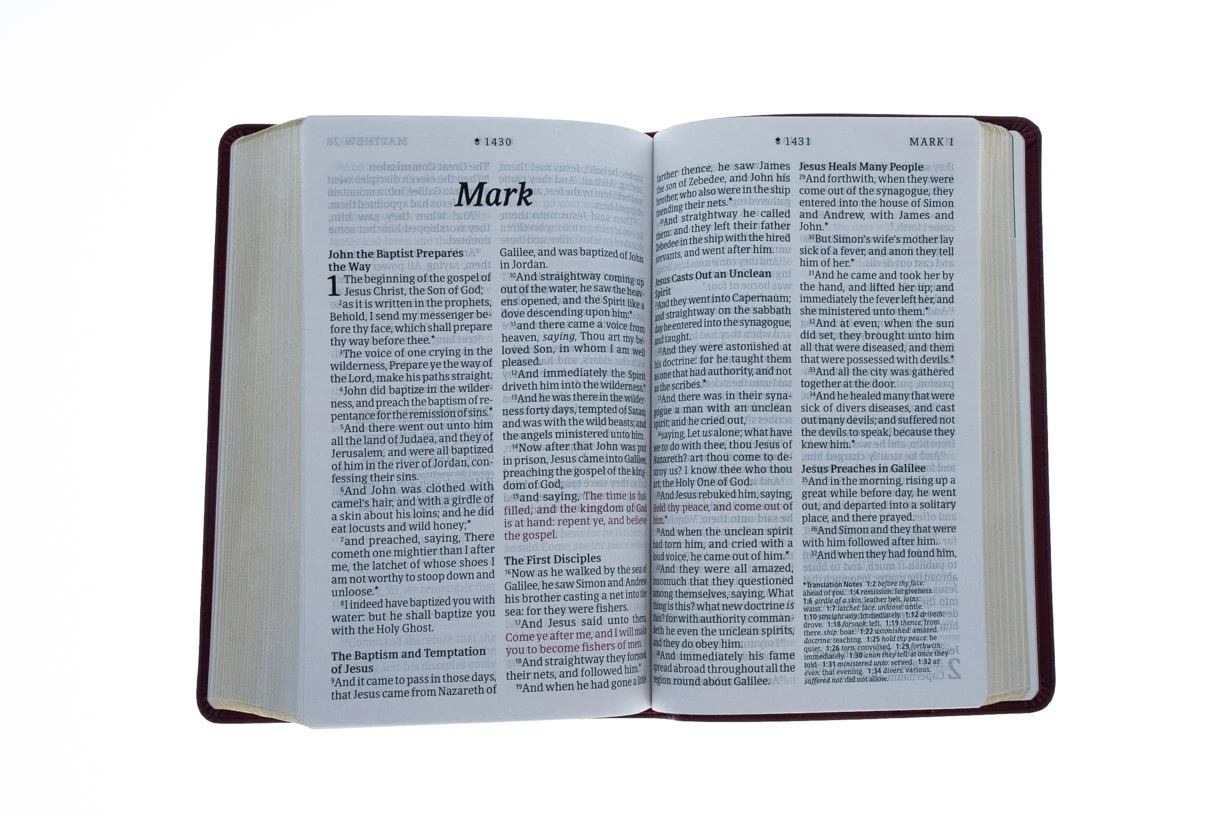 Tyndale House Publishing KJV Personal Size Giant Print Bible, Filament Enabled Edition 7 Tyndale House Publishing KJV Personal Size Giant Print Bible, Filament Enabled Edition - Image 5