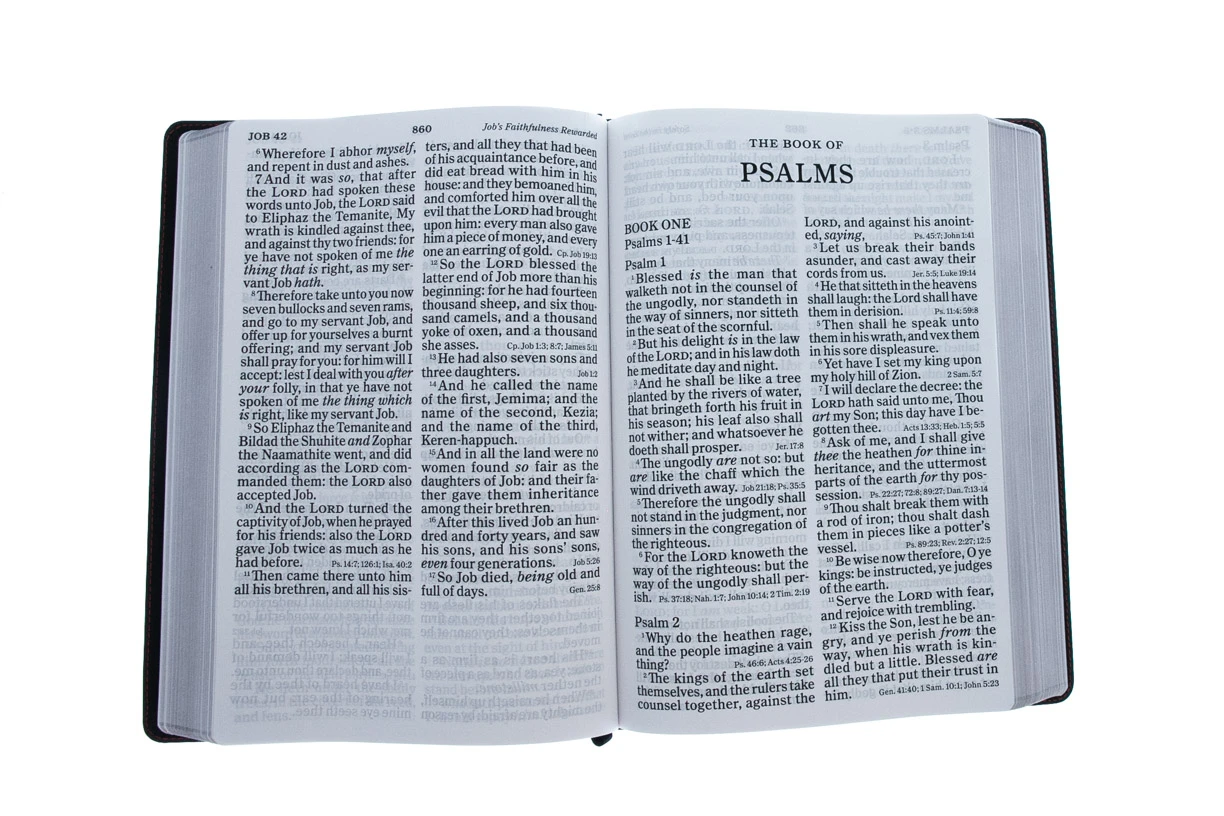 Holman Bible Publishers KJV Super Giant Print Reference Bible, Black Genuine Leather 6 Holman Bible Publishers KJV Super Giant Print Reference Bible, Black Genuine Leather - Image 4