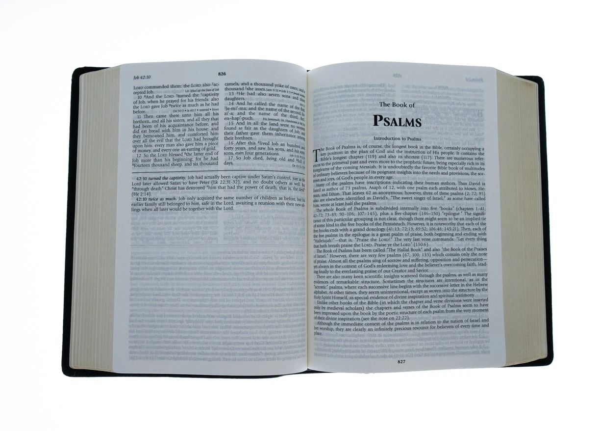 Audience: Men, Teen, Women KJV Henry MorrisStudy Bible, Apologetic Study Bible 5 Audience: Men, Teen, Women KJV Henry MorrisStudy Bible, Apologetic Study Bible - Image 3