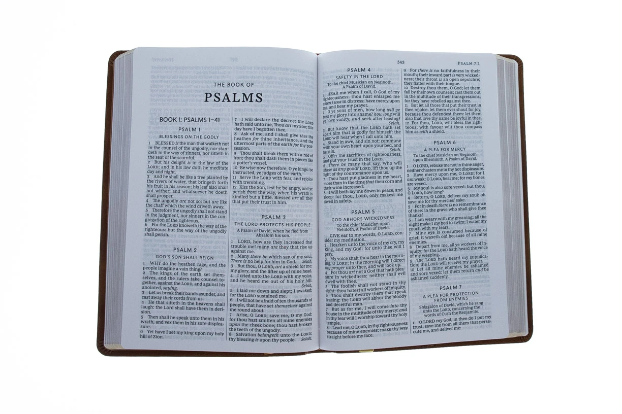 Thomas Nelson Kjv Thinline Bible, Large Print, Tan Leathersoft 6 Thomas Nelson Kjv Thinline Bible, Large Print, Tan Leathersoft - Image 4