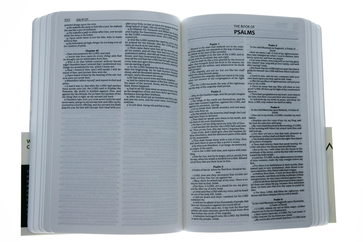 Audience: Boys, Men, Teen KJV Waterproof Bible-Camouflage –Tree Bark 4 Audience: Boys, Men, Teen KJV Waterproof Bible-Camouflage –Tree Bark - Image 2