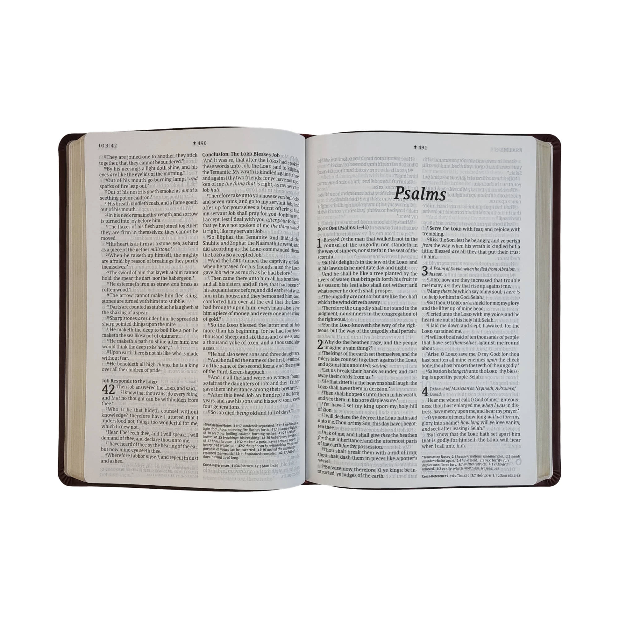 Tyndale House Publishing KJV Large Print Thinline Reference Bible, Filament Enabled Edition 6 Tyndale House Publishing KJV Large Print Thinline Reference Bible, Filament Enabled Edition - Image 4