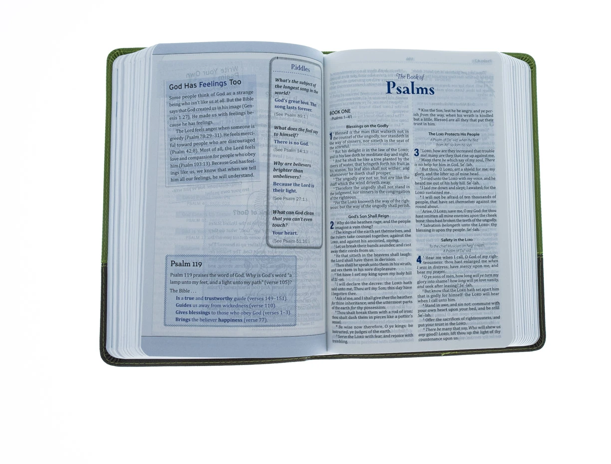 Audience: Boys KJV Study Bible For Boys-Olive/Brown LeatherTouch 5 Audience: Boys KJV Study Bible For Boys-Olive/Brown LeatherTouch - Image 3