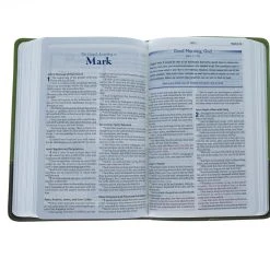 Audience: Boys KJV Study Bible For Boys-Olive/Brown LeatherTouch 10 Audience: Boys KJV Study Bible For Boys-Olive/Brown LeatherTouch -SHOPtheWORD store 206 0426 4