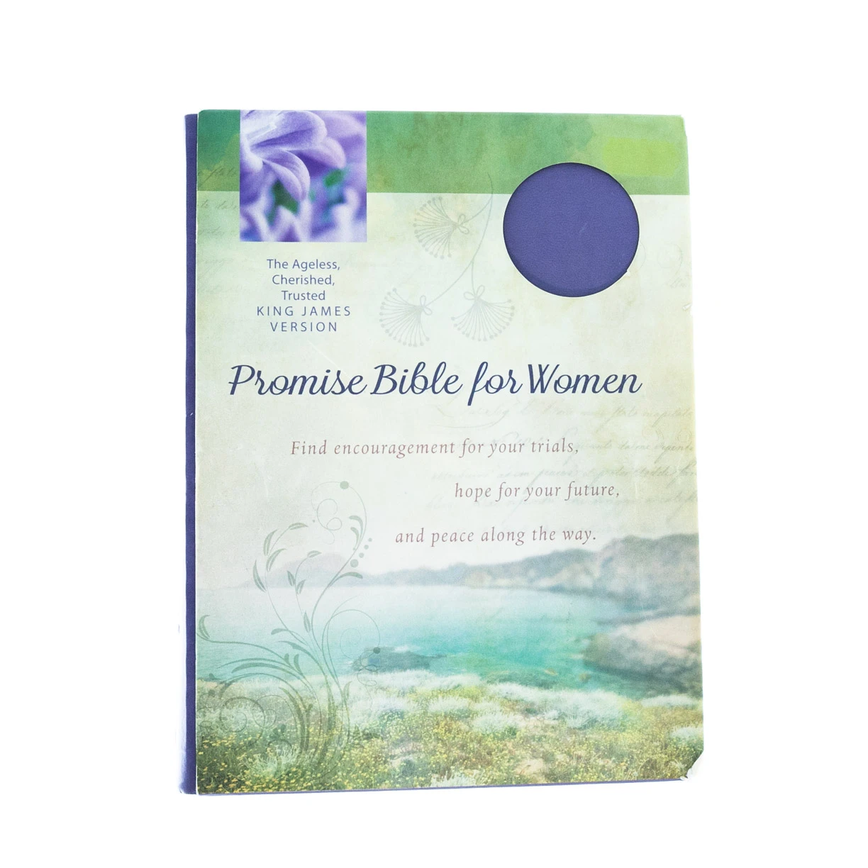 Audience: Women KJV Bible Promise Book For Women 3 Audience: Women KJV Bible Promise Book For Women