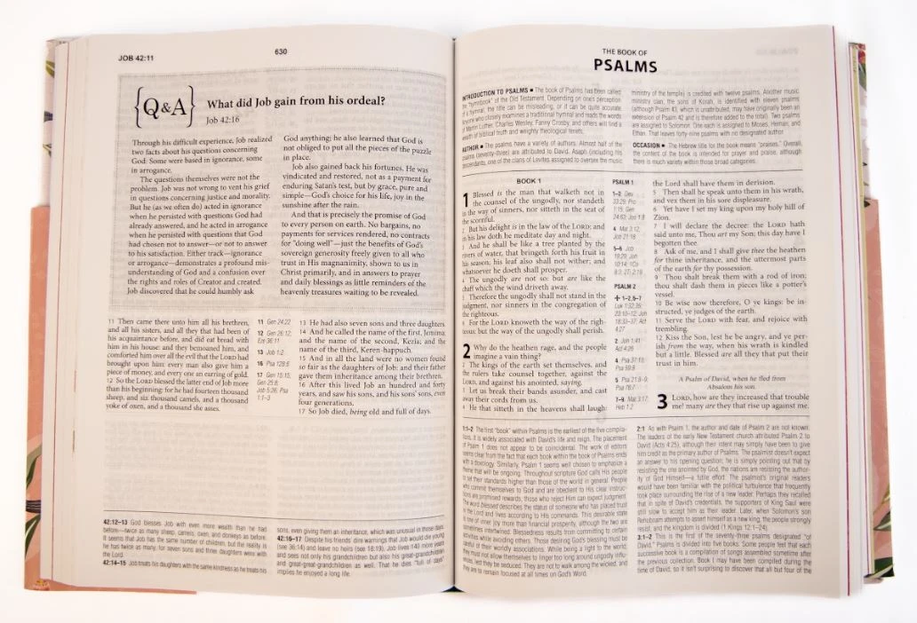 Barbour Publishing KJV Cross Reference Study Bible–Sage Songbird 4 Barbour Publishing KJV Cross Reference Study Bible–Sage Songbird - Image 2