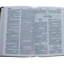 Holman Bible Publishers KJV Giant Print Reference Bible, Brown LeatherTouch 9 Holman Bible Publishers KJV Giant Print Reference Bible, Brown LeatherTouch -SHOPtheWORD store 206 0701 3 1