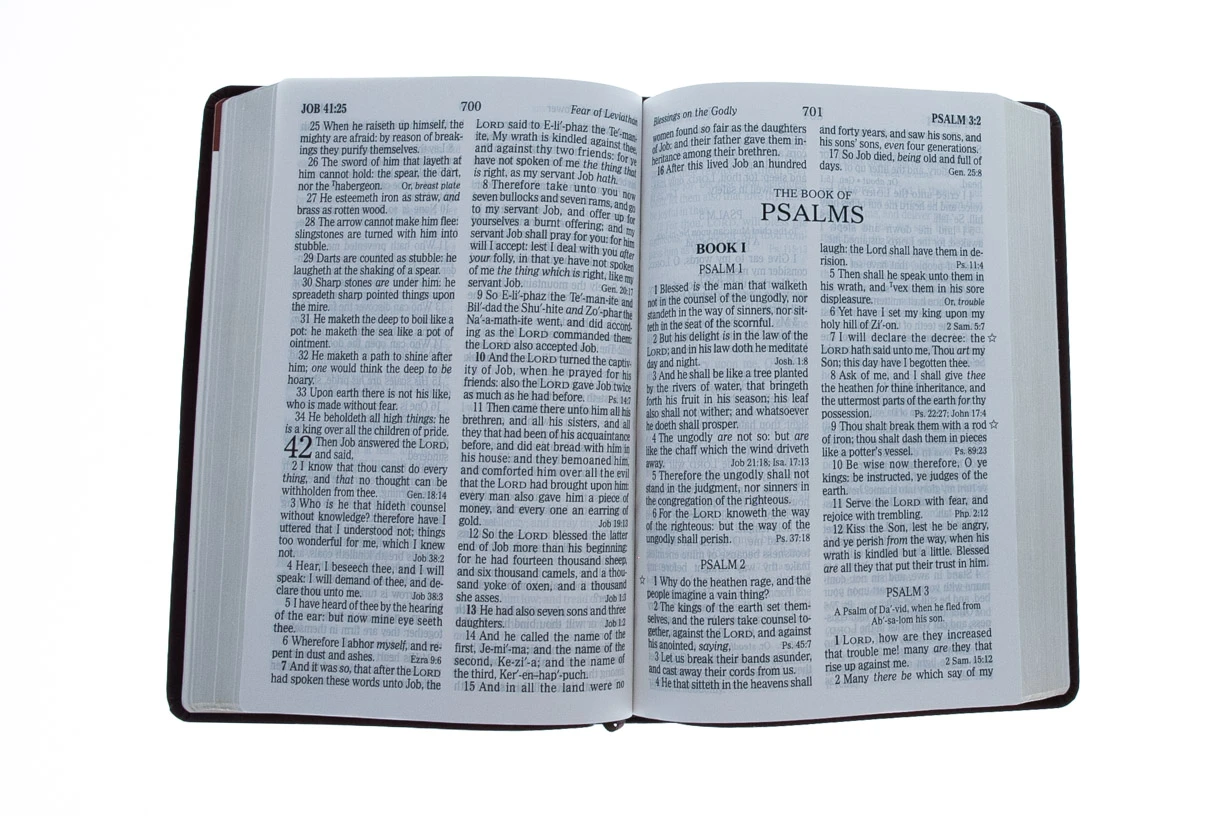 Holman Bible Publishers KJV Giant Print Reference Bible, Brown LeatherTouch 5 Holman Bible Publishers KJV Giant Print Reference Bible, Brown LeatherTouch - Image 3