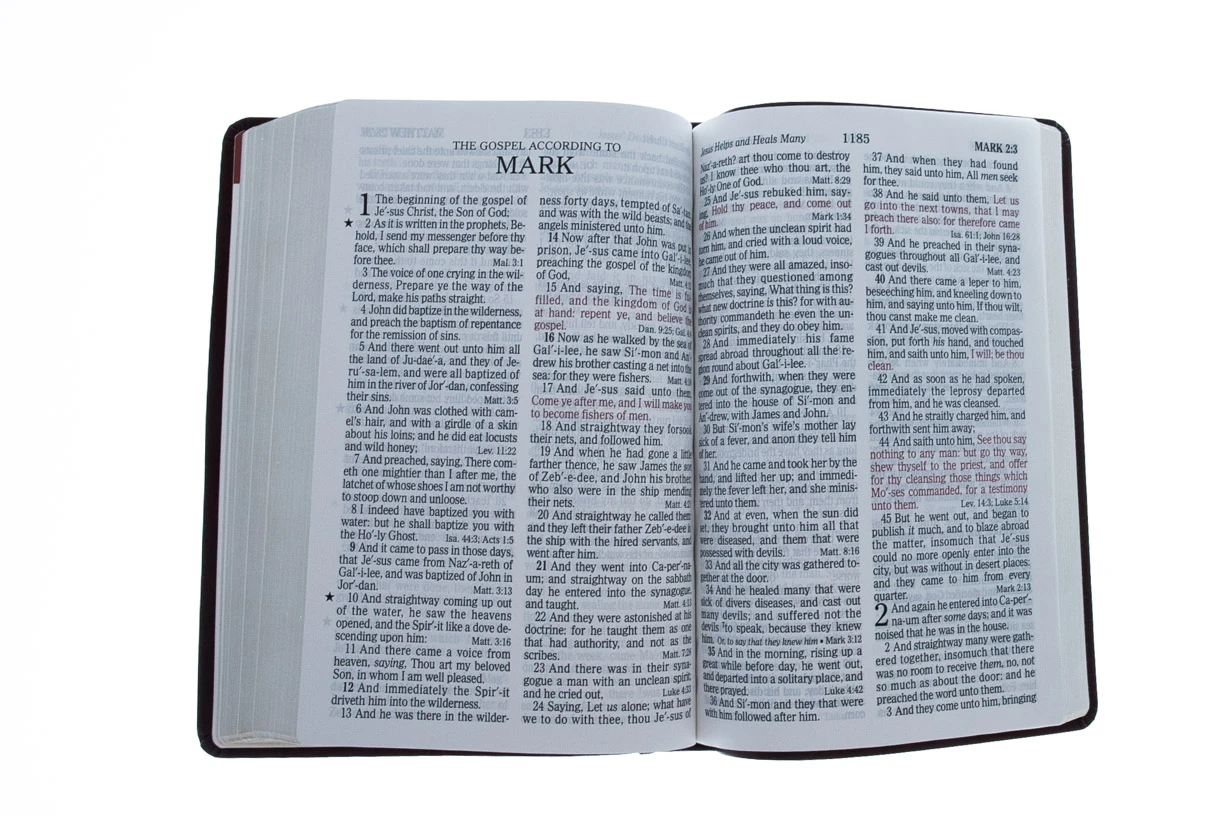 Holman Bible Publishers KJV Giant Print Reference Bible, Brown LeatherTouch 6 Holman Bible Publishers KJV Giant Print Reference Bible, Brown LeatherTouch - Image 4