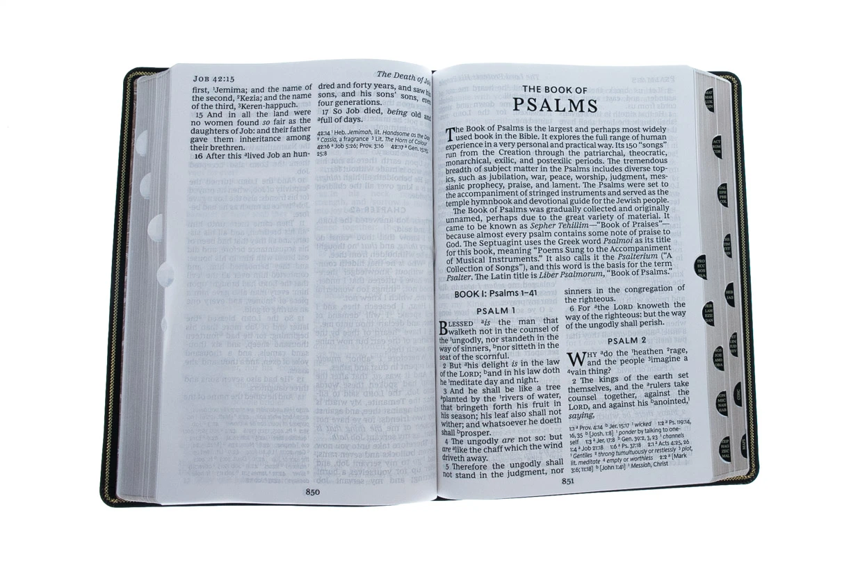 Thomas Nelson KJV, Deluxe Reference Bible, Super Giant Print, Black, Indexed 5 Thomas Nelson KJV, Deluxe Reference Bible, Super Giant Print, Black, Indexed - Image 3