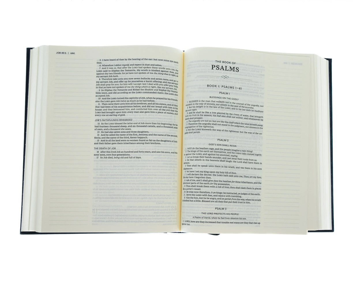 Thomas Nelson KJV, Journal The Word Bible, Hardcover, Blue, Red Letter Edition 5 Thomas Nelson KJV, Journal The Word Bible, Hardcover, Blue, Red Letter Edition - Image 3