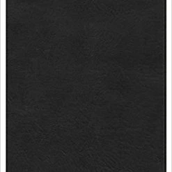 Holman Bible Publishers KJV Large Print Compact Reference Bible, Black Leathertouch