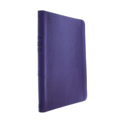 Audience: Women KJV Bible The Go-Anywhere For Young Women [Plum Patch] -SHOPtheWORD store 206 0863 2