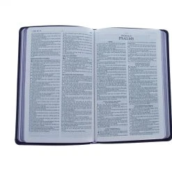 Audience: Women KJV Bible The Go-Anywhere For Young Women [Plum Patch] -SHOPtheWORD store 206 0863 3