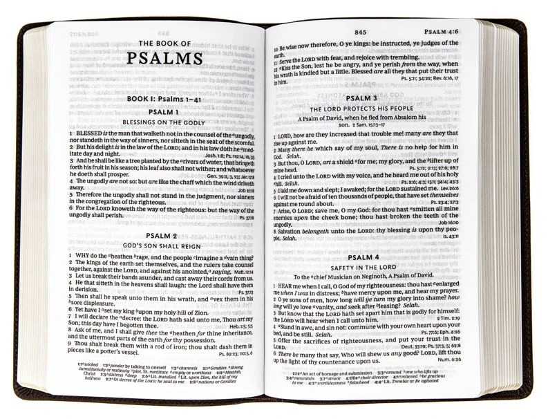 Thomas Nelson KJV Personal Size Large Print Genuine Leather – Brown 4 Thomas Nelson KJV Personal Size Large Print Genuine Leather – Brown - Image 2