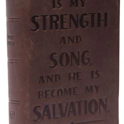 Thomas Nelson KJV Personal Size Reference Bible, Verse Art Cover – Brown