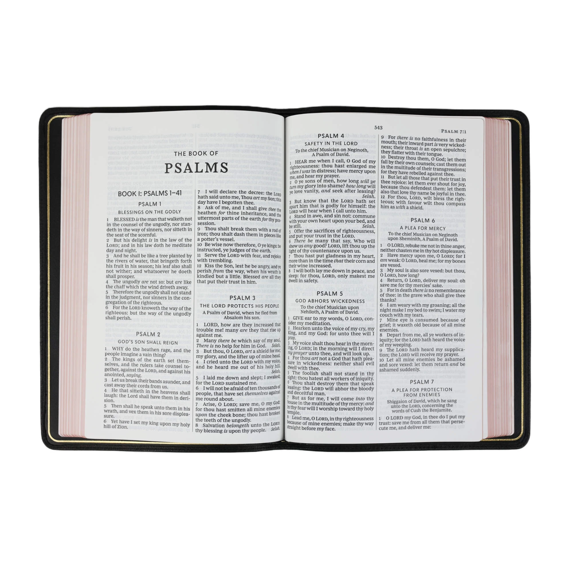 Thomas Nelson KJV Thinline Bible, Large Print – Black 5 Thomas Nelson KJV Thinline Bible, Large Print – Black - Image 3