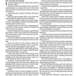 Tyndale House Publishing KJV Large Print Premium Value Thinline Brown – Filament Enabled -SHOPtheWORD store 206 0897 2