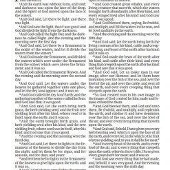 Tyndale House Publishing KJV Premium Value Thinline Bible Black – Filament Enabled 12 Tyndale House Publishing KJV Premium Value Thinline Bible Black – Filament Enabled -SHOPtheWORD store 206 0899 4