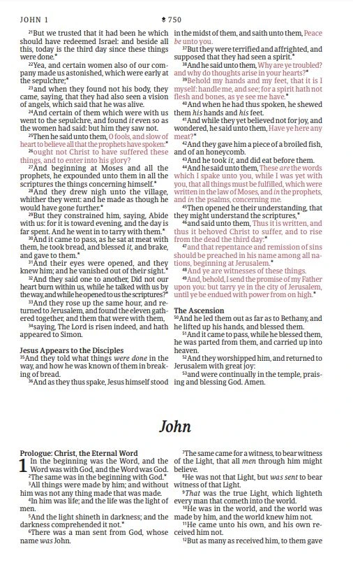 Tyndale House Publishing KJV Premium Value Thinline Bible Black – Filament Enabled 8 Tyndale House Publishing KJV Premium Value Thinline Bible Black – Filament Enabled - Image 6