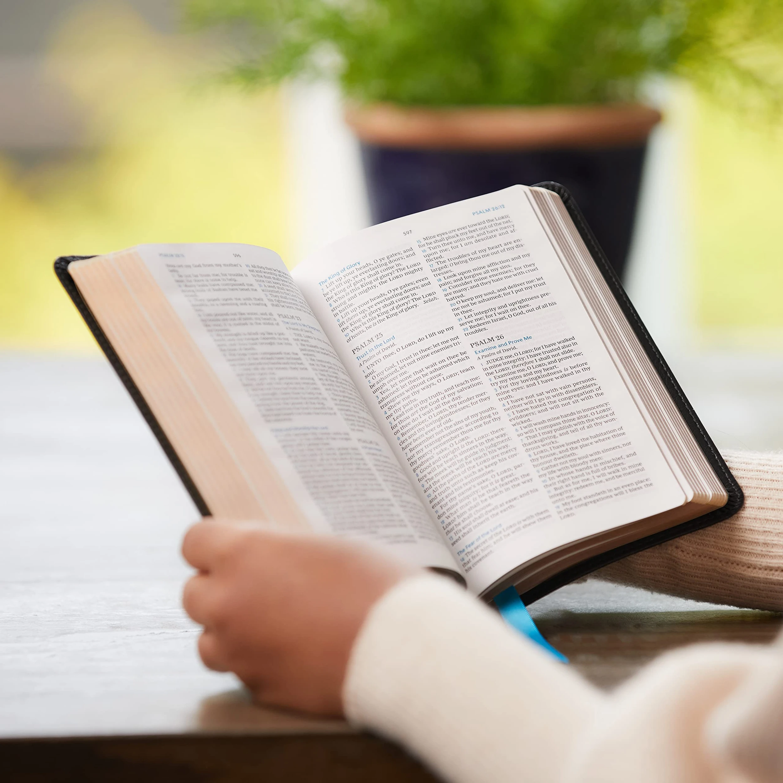 Thomas Nelson KJV Compact Bible, MacLaren Series, Leathersoft, Brown 4 Thomas Nelson KJV Compact Bible, MacLaren Series, Leathersoft, Brown - Image 2