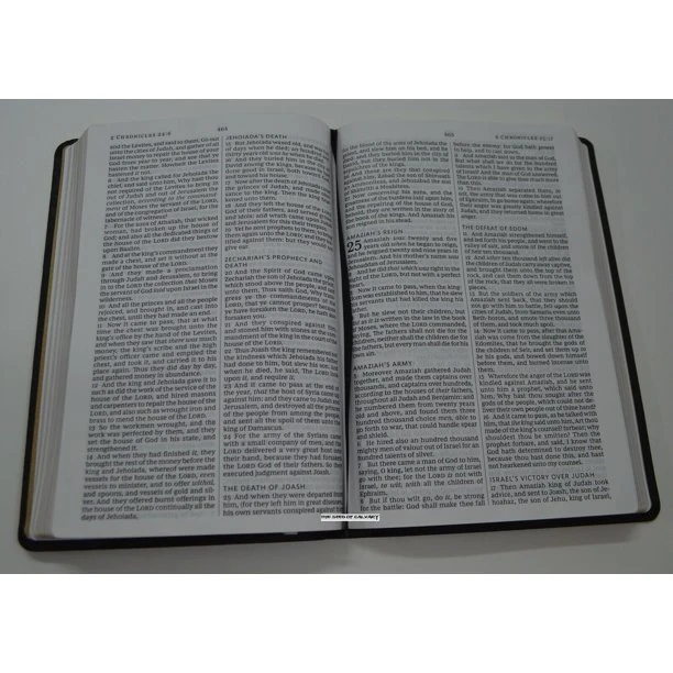 Thomas Nelson KJV Thinline Bible – B&N Exclusive Edition 4 Thomas Nelson KJV Thinline Bible – B&N Exclusive Edition - Image 2