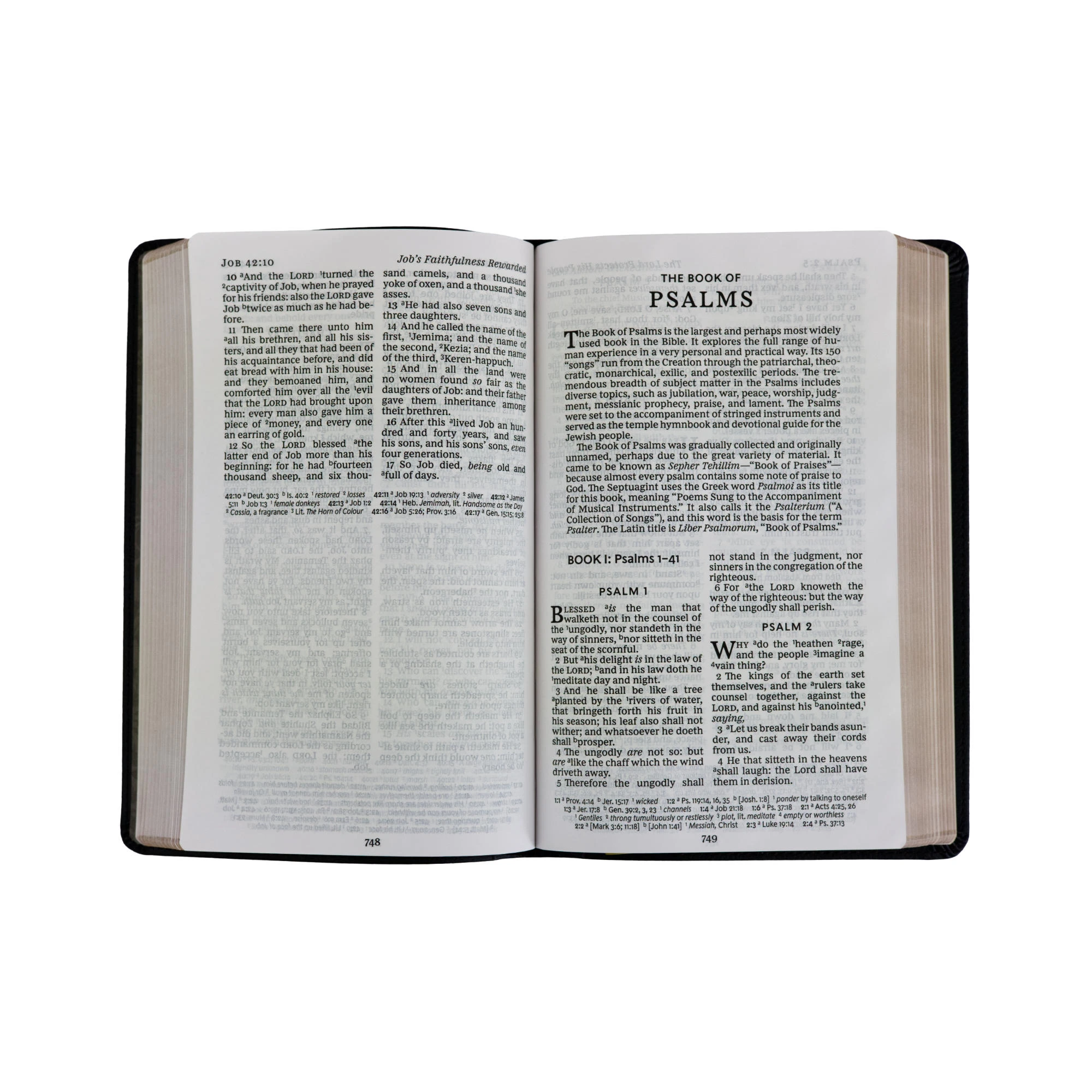 Thomas Nelson KJV Large Print Reference Bible, Vintage Series – Black 5 Thomas Nelson KJV Large Print Reference Bible, Vintage Series – Black - Image 3
