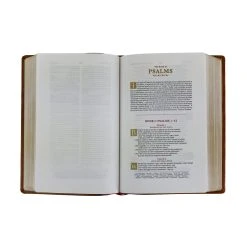 Thomas Nelson KJV Wide-Margin Reference Bible – Brown -SHOPtheWORD store 206 0946 3