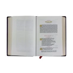 Harper Collins Canada Ltd. KJV Wide-Margin Reference Bible – Purple -SHOPtheWORD store 206 0947 3