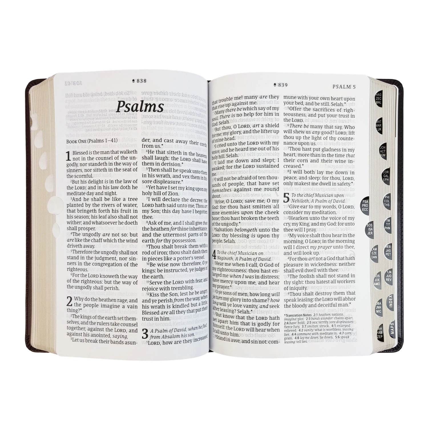 KJV Personal Size Giant Print Bible, Filament Enabled Edition 6 KJV Personal Size Giant Print Bible, Filament Enabled Edition - Image 4