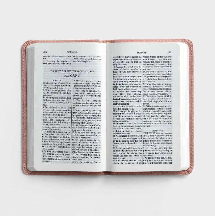 Dayspring KJV Baby Girl’s First Bible 7 Dayspring KJV Baby Girl’s First Bible - Image 5
