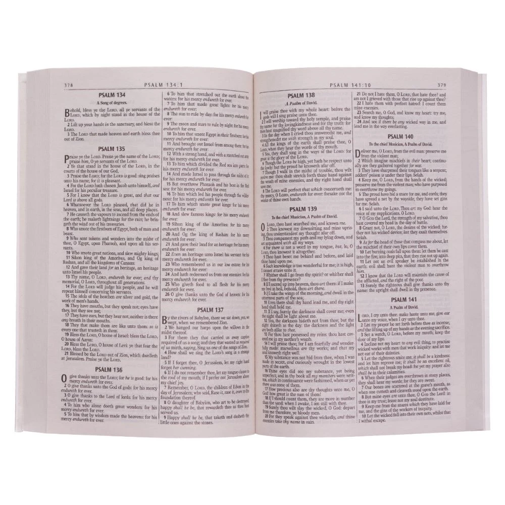KJV Gold Olive Branch Softcover Outreach Bible 5 KJV Gold Olive Branch Softcover Outreach Bible - Image 3