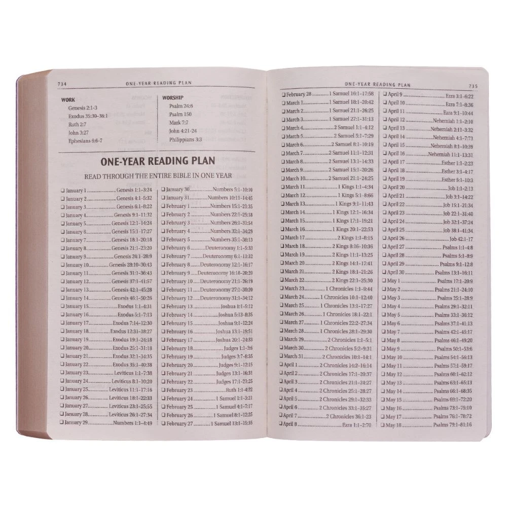 KJV Gold Olive Branch Softcover Outreach Bible 6 KJV Gold Olive Branch Softcover Outreach Bible - Image 4