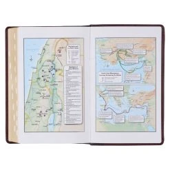 KJV Two-tone Brown Full Grain Leather Giant Print Bible W/ Thumb Index -SHOPtheWORD store 206 0996 3