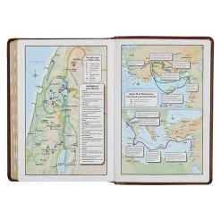 Christian Art Gifts KJV Art Nouveau Framed Saddle Tan Faux Leather Bible – Thumb Index -SHOPtheWORD store 206 1004 5