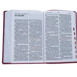 Holman Bible Publishers KJV Large Print Reference Bible, Pink Leathertouch Indexed -SHOPtheWORD store 206 1030 4 1