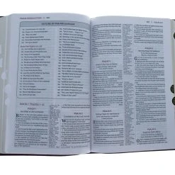 Thomas Nelson KJV Open Bible, Leathersoft, Burgundy, Comfort Print Indexed -SHOPtheWORD store 206 1036 5 1