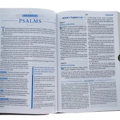 Thomas Nelson KJV, Charles F. Stanley Life Principles Bible, 2nd Edition, Leathersoft, -SHOPtheWORD store 206 1046 3