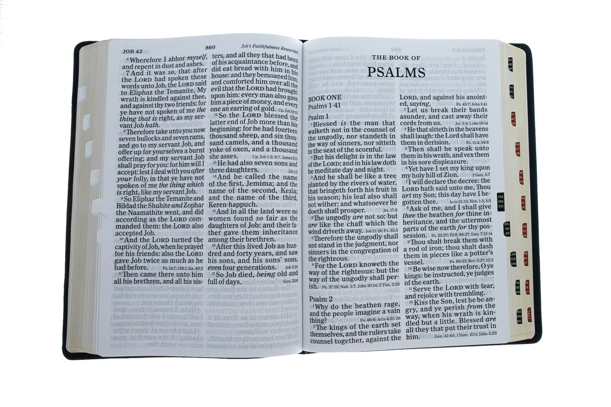 Holman Bible Publishers KJV Super Giant Print Reference Bible, Black/Brown Leathertouch, Indexed 5 Holman Bible Publishers KJV Super Giant Print Reference Bible, Black/Brown Leathertouch, Indexed - Image 3