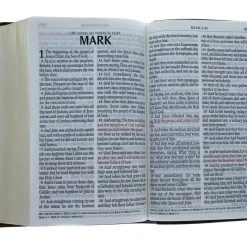 Christian Art Gifts KJV Bible Giant Print Two-Tone Brown
