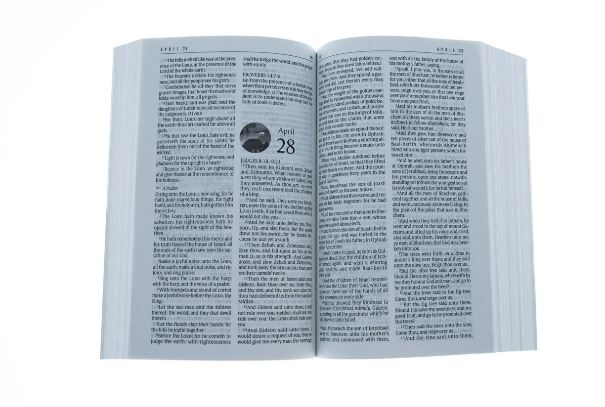 Tyndale House Publishing KJV The One Year Bible Paperback 5 Tyndale House Publishing KJV The One Year Bible Paperback - Image 3