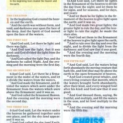 Holman Bible Publishers KJV One Big Story Bible, Brown Lion Leathertouch -One Big Story 4 Holman Bible Publishers KJV One Big Story Bible, Brown Lion Leathertouch -One Big Story -SHOPtheWORD store 206 2090 2