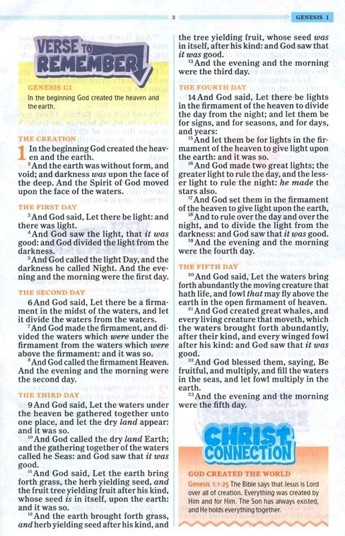 KJV One Big Story Bible, Brown Lion Leathertouch -One Big Story Holman Bible Publishers KJV One Big Story Bible, Brown Lion Leathertouch -One Big Story -SHOPtheWORD store 206 2090 2