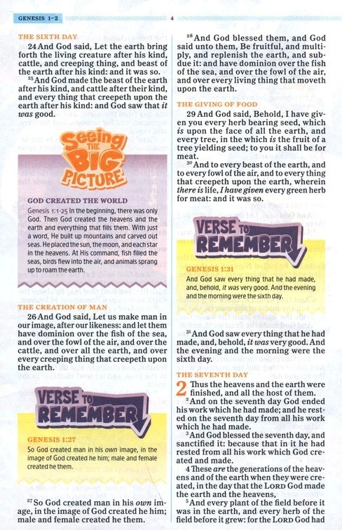 KJV One Big Story Bible, Brown Lion Leathertouch -One Big Story Holman Bible Publishers KJV One Big Story Bible, Brown Lion Leathertouch -One Big Story -SHOPtheWORD store 206 2090 3