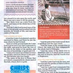 Holman Bible Publishers KJV One Big Story Bible, Brown Lion Leathertouch -One Big Story 6 Holman Bible Publishers KJV One Big Story Bible, Brown Lion Leathertouch -One Big Story -SHOPtheWORD store 206 2090 4