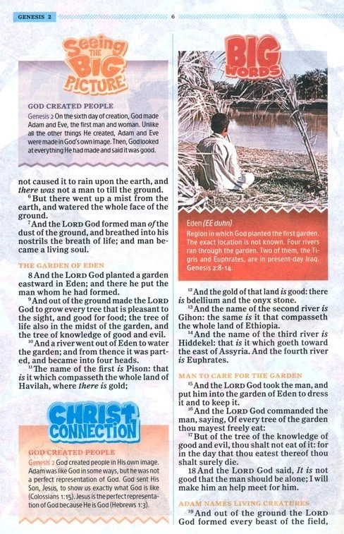 KJV One Big Story Bible, Brown Lion Leathertouch -One Big Story Holman Bible Publishers KJV One Big Story Bible, Brown Lion Leathertouch -One Big Story -SHOPtheWORD store 206 2090 4