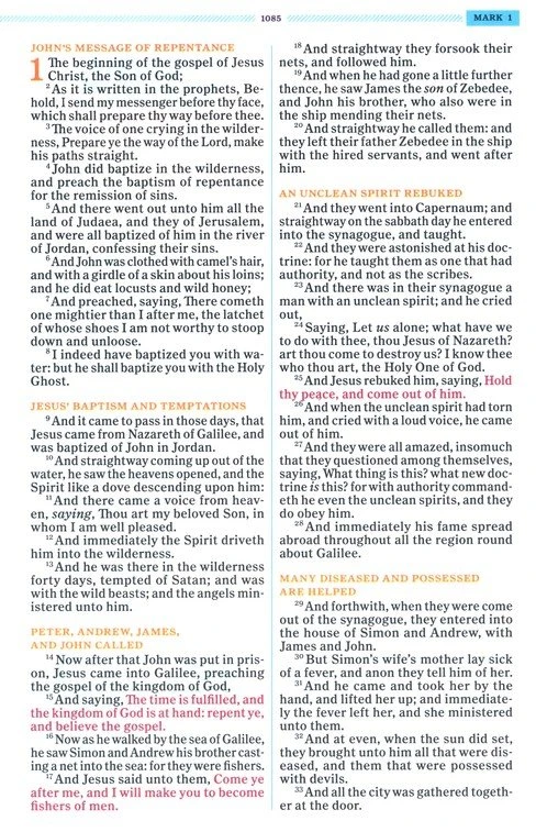 KJV One Big Story Bible, Brown Lion Leathertouch -One Big Story Holman Bible Publishers KJV One Big Story Bible, Brown Lion Leathertouch -One Big Story -SHOPtheWORD store 206 2090 5