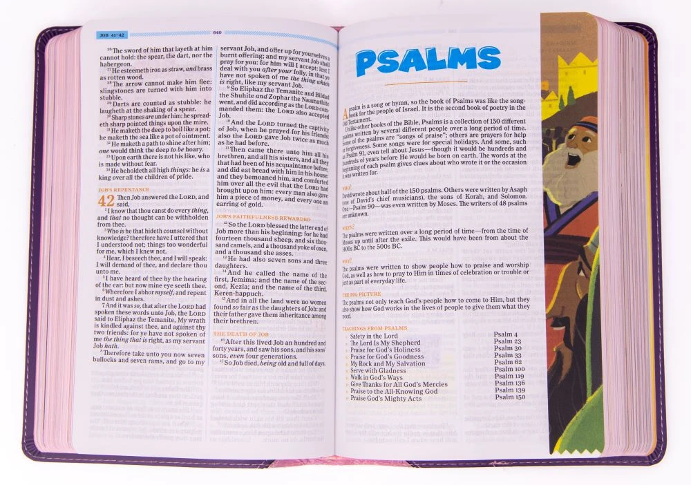 Holman Bible Publishers KJV One Big Story Bible, Pink/Purple Leathertouch -One Big Story 4 Holman Bible Publishers KJV One Big Story Bible, Pink/Purple Leathertouch -One Big Story - Image 2