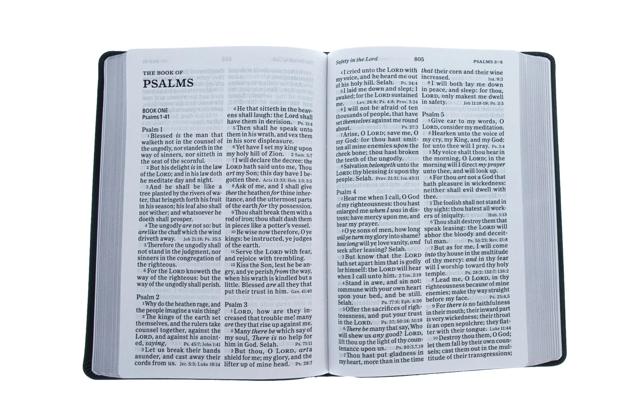 Holman Bible Publishers KJV Giant Print Reference Bible, Charcoal LeatherTouch 5 Holman Bible Publishers KJV Giant Print Reference Bible, Charcoal LeatherTouch - Image 3